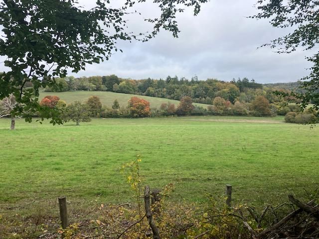 View of Ranmore near Polesden